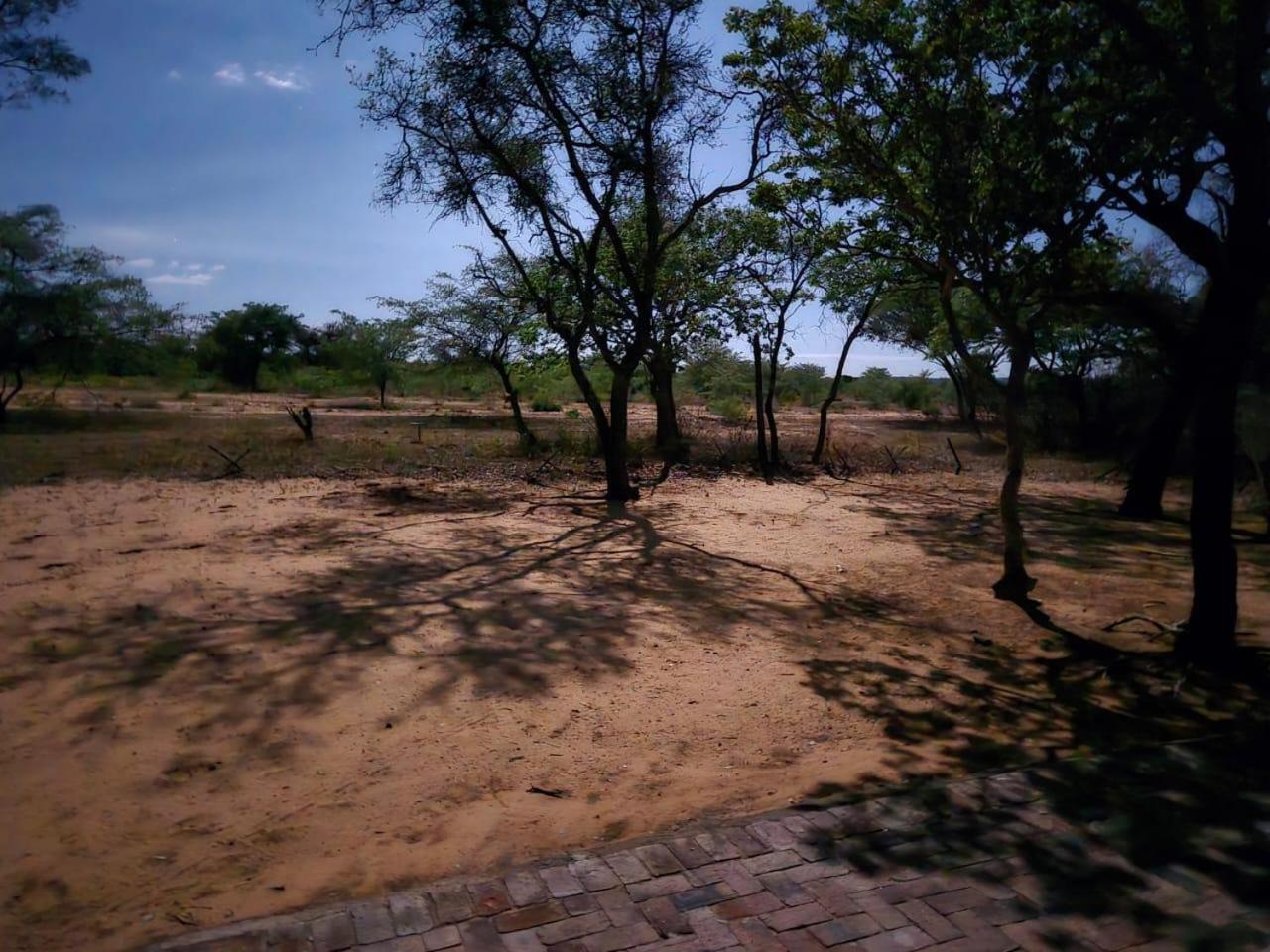 Kigeni Safari Lodge & Spa Vaalwater Luaran gambar
