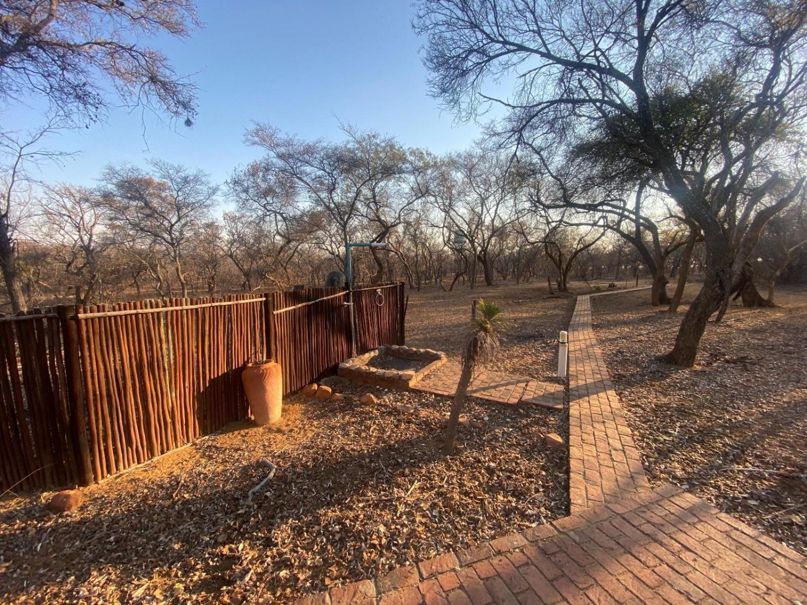 Kigeni Safari Lodge & Spa Vaalwater Bilik gambar