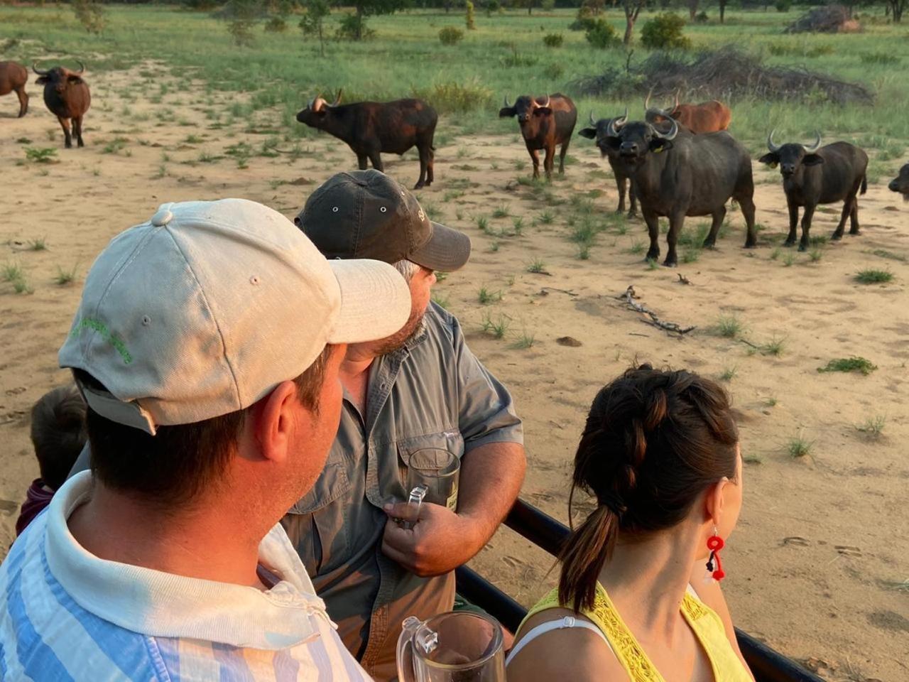 Kigeni Safari Lodge & Spa Vaalwater Luaran gambar