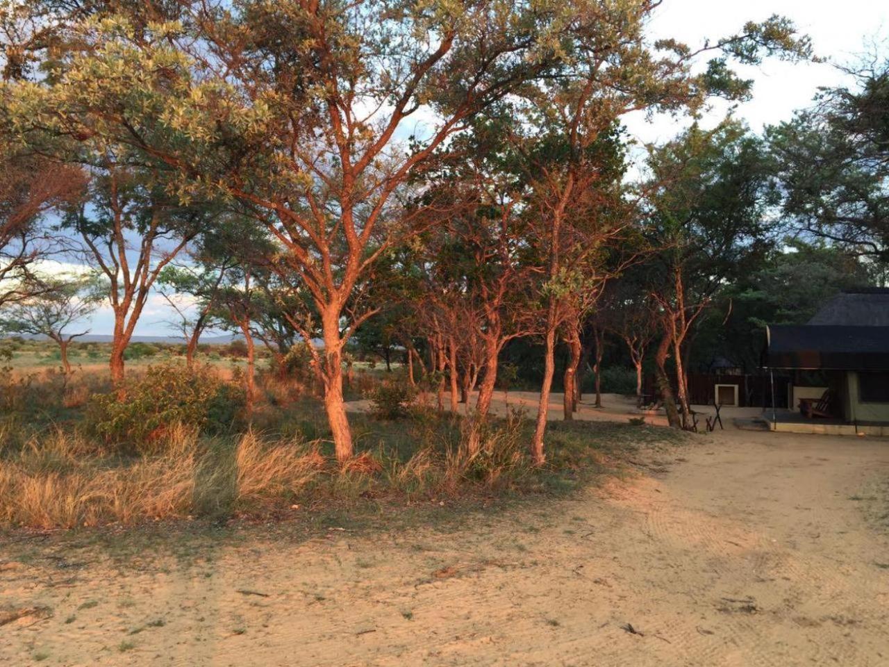 Kigeni Safari Lodge & Spa Vaalwater Luaran gambar