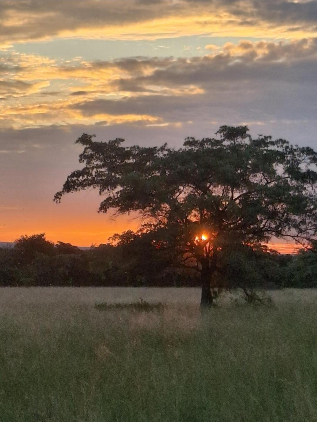 Kigeni Safari Lodge & Spa Vaalwater Luaran gambar